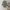 Vintage Luxury Kimono Wanita tan black photo 1