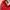 Burberry Casual T-shirt Wanita red photo 4