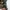 Obey Streetwear Skater Jumper Pria tan photo 4