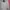The North Face Sportswear Casual Windbreaker Wanita pink photo 5