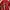 Sportswear Casual Jersey Pria red photo 6