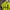 Nike Y2K Sportswear Jersey Pria yellow photo 2