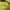 Nike Y2K Sportswear Jersey Pria yellow photo 3