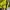 Nike Y2K Sportswear Jersey Pria yellow photo 4