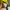 Nike Y2K Sportswear Jersey Pria yellow photo 5