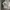 Adidas Y2K Sportswear Jersey Pria white photo 5