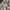 Adidas Y2K Sportswear Jersey Pria white photo 2