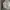 Adidas Y2K Sportswear Jersey Pria white photo 1