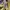 Y2K Sportswear Jersey Pria gold photo 6