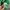 Diadora Vintage Sportswear Jersey Pria green photo 6