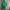 Diadora Vintage Sportswear Jersey Pria green photo 1