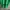 Diadora Vintage Sportswear Jersey Pria green photo 7