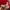 Mizuno Vintage Sportswear Jersey Pria red photo 4
