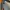 Noir Sur Blanc Grunge Track jacket Pria orange gray photo 2