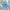 Streetwear Minimalist Wide Leg Jeans Wanita Blue