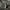 Adidas Streetwear Sportswear Hoody Pria white black photo 2