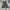 Streetwear Vest Pria multicolor photo 1