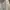 Y2K Lolita Mini skirt Wanita white photo 2