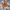 Casual Fur coat Kids brown photo 1