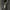 Carhartt Vintage Hoody Pria green photo 5