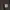 Carhartt Vintage Hoody Pria green photo 2