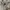 ZARA Streetwear Casual Denim jacket Wanita gray photo 8