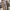 VANS Streetwear Skater Sneakers Pria black photo 4