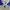 Wilson Vintage Casual Casual shoe Pria white blue photo 3