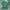 Grunge Emo T-shirt Pria green photo 1