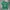 Grunge Emo T-shirt Pria Green