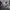 Nike Vintage Streetwear Pria gray photo 5