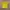 Oioi Casual T-shirt Pria yellow photo 2