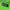 Streetwear Gorpcore Puffer jacket Pria green black photo 5