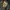 Adidas Vintage Streetwear Trench coat Pria green brown photo 3