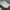 Adidas Sportswear Pria white photo 2