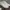 Adidas Sportswear Pria White