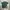 Champion Streetwear Minimalist T-shirt Pria green photo 2