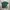 Champion Streetwear Minimalist T-shirt Pria Green
