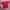 Minimalist T-shirt Pria red photo 1