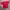 Minimalist T-shirt Pria Red