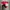 Minimalist T-shirt Pria Red
