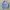 Casual Sweatshirt Pria multicolor photo 1