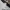Nike Biker Sportswear Sweatpants & Joggers Pria white black photo 2