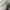 Carhartt Vintage T-shirt Pria white photo 6