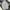 Streetwear Y2K Hoody Pria gray photo 6