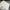 MUSINSA STANDARD Casual Jeans Pria white cream photo 6