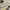New Balance Minimalist Casual Sneakers Pria white gray photo 2