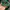 Powell Peralta Indie Hat Pria white green photo 4