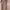 Michael Kors Vintage Coquette Handbag Wanita pink photo 4