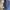 Michael Kors Streetwear Y2K Handbag Wanita navy photo 3